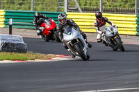 Middle Group Silver_Grey Bikes